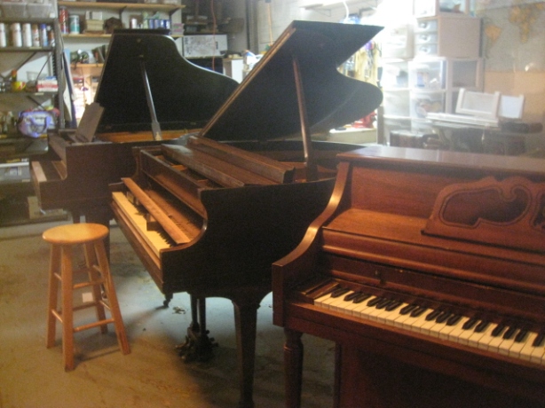 Pianos in my shop are undergoing repair.